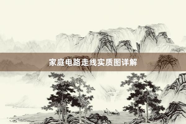 家庭电路走线实质图详解