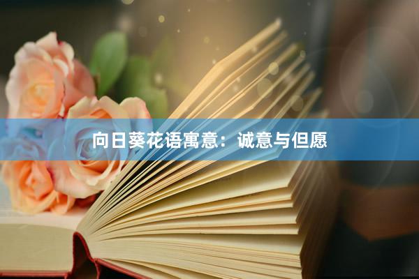 向日葵花语寓意：诚意与但愿