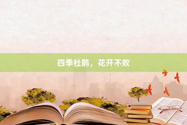四季杜鹃，花开不败